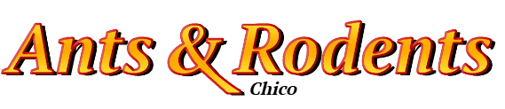 Chico Ant Exterminator & Rodent Control Company Logo
